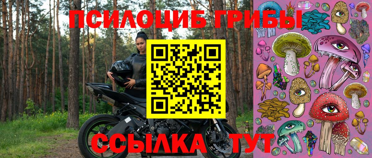 Псилоцибиновые грибы мухоморы Мирный