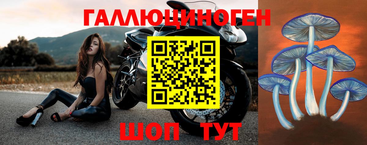купить наркотик  Псилоцибиновые грибы Magic Shrooms  Вход с VPN  Мирный 