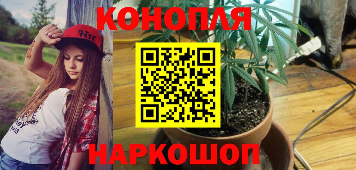 Мирный  Канабис гибрид  Бошки марихуана планчик  Вход с VPN 